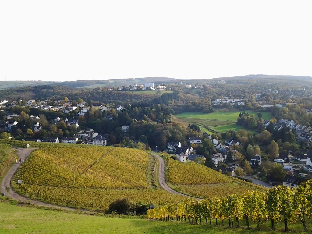Saar-Mosel-Tal Leilighet Konz Eksteriør bilde